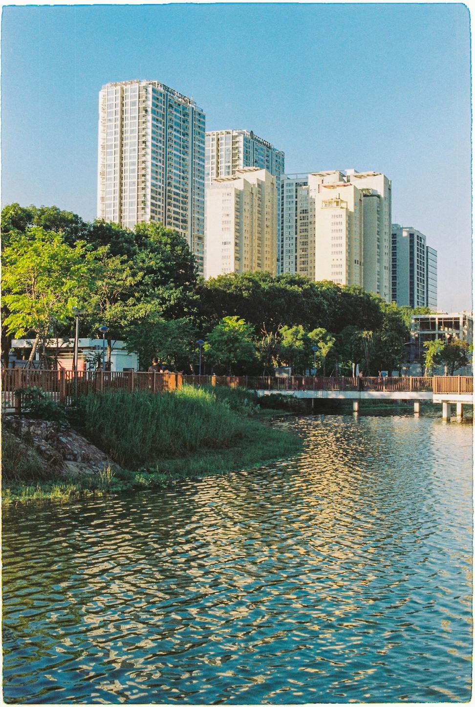 Waterfront Domain Study