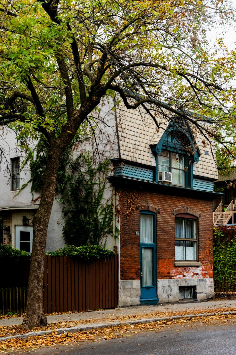 Cabbagetown Domain